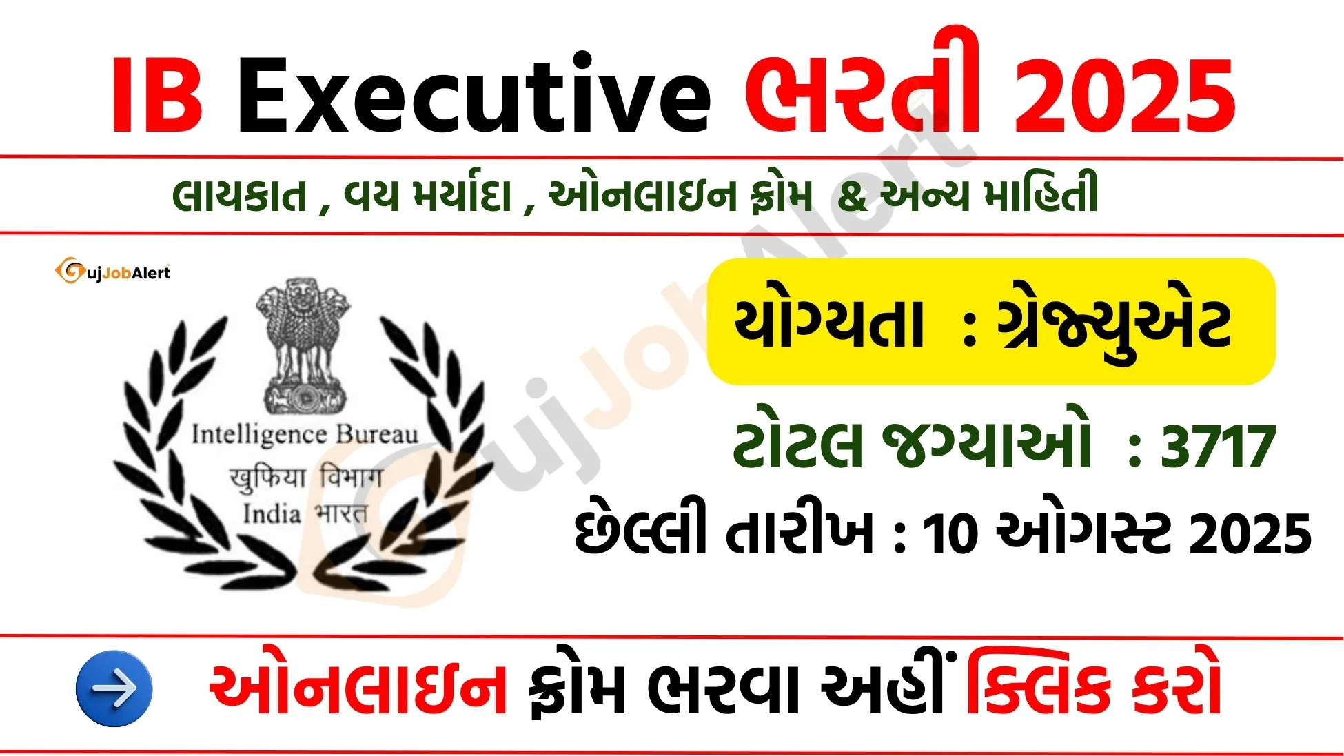 IB Executive Recruitment 2025